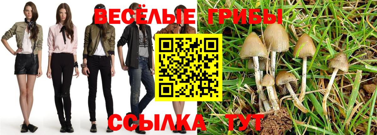 Псилоцибиновые грибы Magic Shrooms  Вход с VPN  Дивногорск 